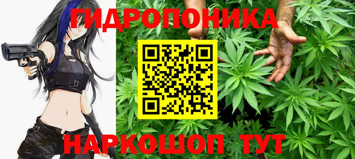Шишки марихуана сатива  Бошки Шишки семена  Каннабис SATIVA & INDICA  Бошки Шишки VHQ  Вход с VPN  Полевской 